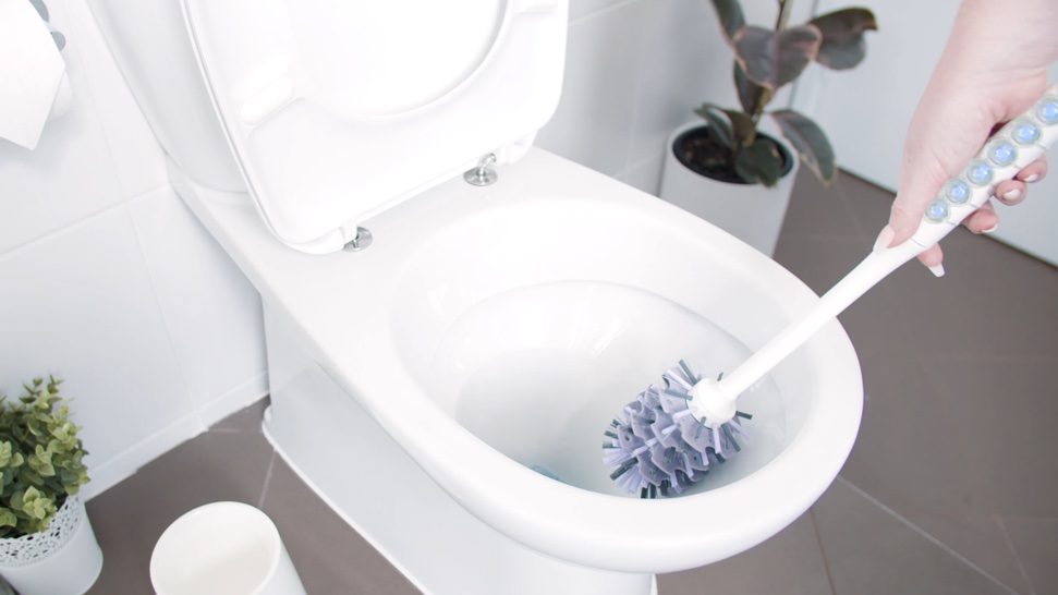 Is Loogeenie the genie you need for your toilet?