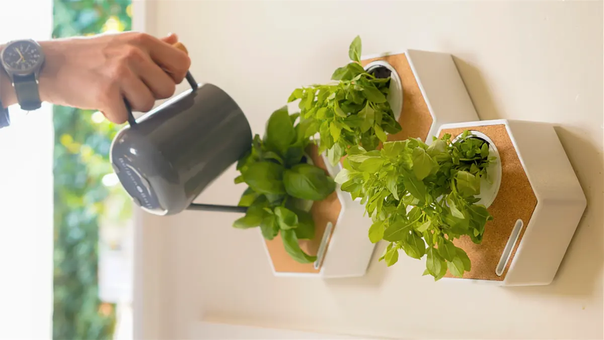 Noku Canvas is a self-watering planter made from recycled plastic